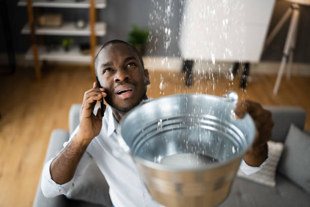 Best 24/7 water damage repair  in Douglas, AZ