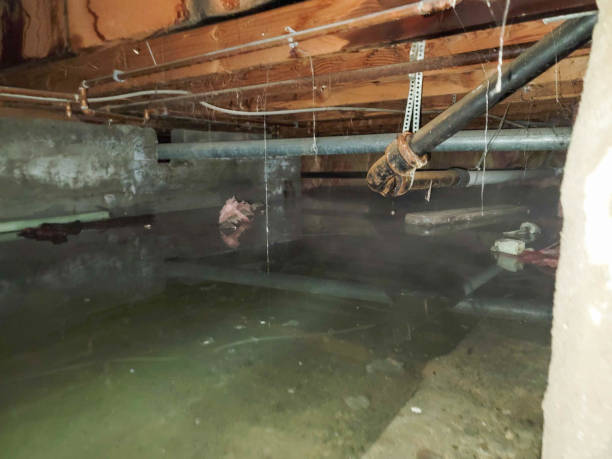 Water damage restoration process in Douglas, AZ