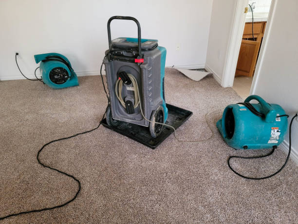 Best Water damage restoration near me  in Douglas, AZ