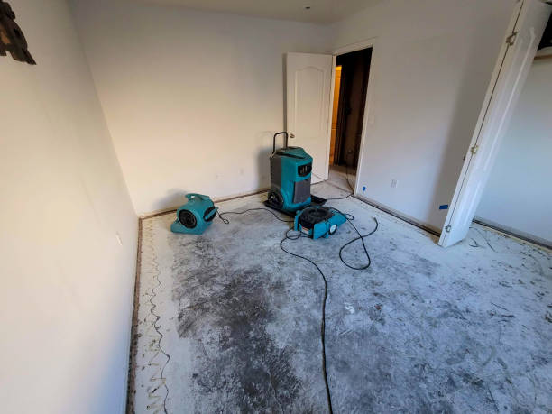 Best Residential water damage restoration  in Douglas, AZ