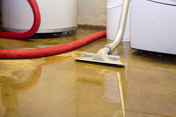 Carpet water damage restoration in Douglas, AZ