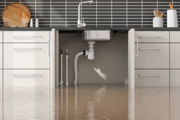 Best Emergency water damage restoration  in Douglas, AZ