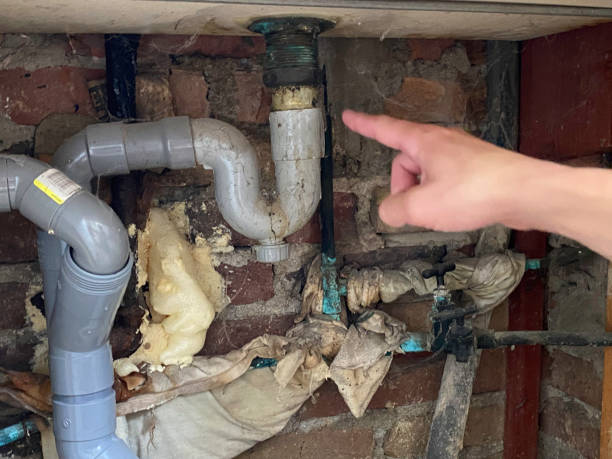 Best Basement water damage restoration  in Douglas, AZ
