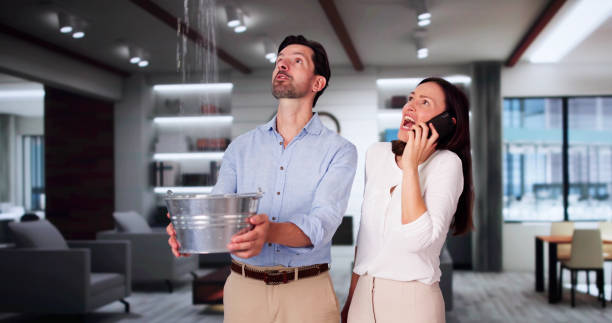Best Sewage cleanup and water damage restoration  in Douglas, AZ