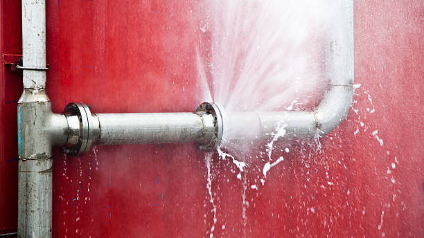 Best Water damage cleanup near me  in Douglas, AZ